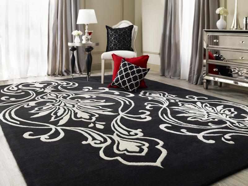 Conew Transitional Area Rug