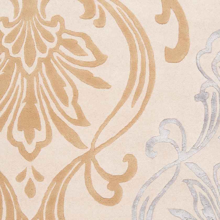 Conew Transitional Area Rug