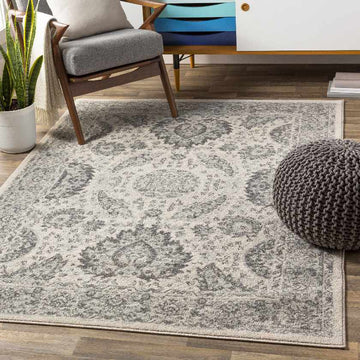 Ampngar Transitional Area Rug
