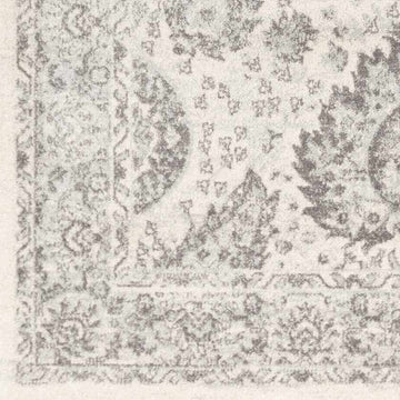 Ampngar Transitional Area Rug
