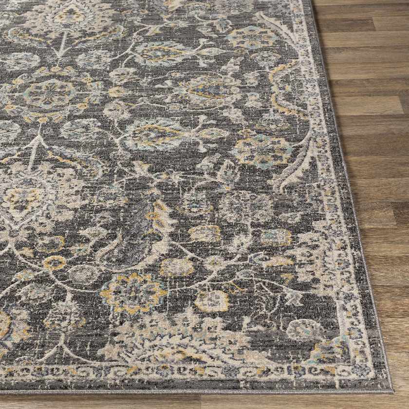 Beeminsia Updated Traditional Area Rug