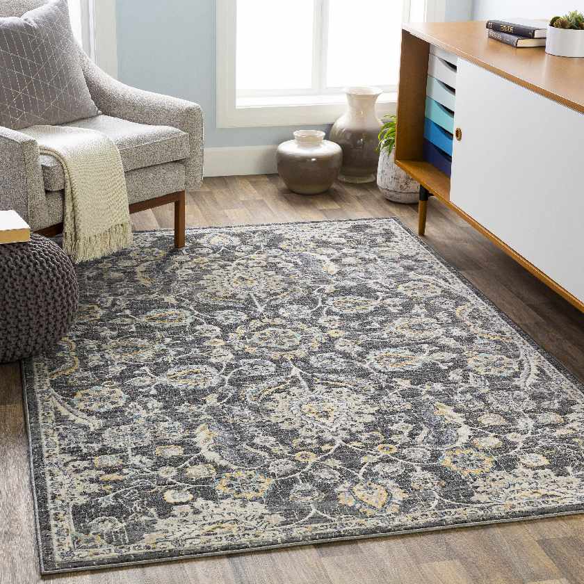 Beeminsia Updated Traditional Area Rug