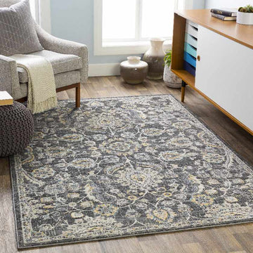 Beeminsia Updated Traditional Area Rug