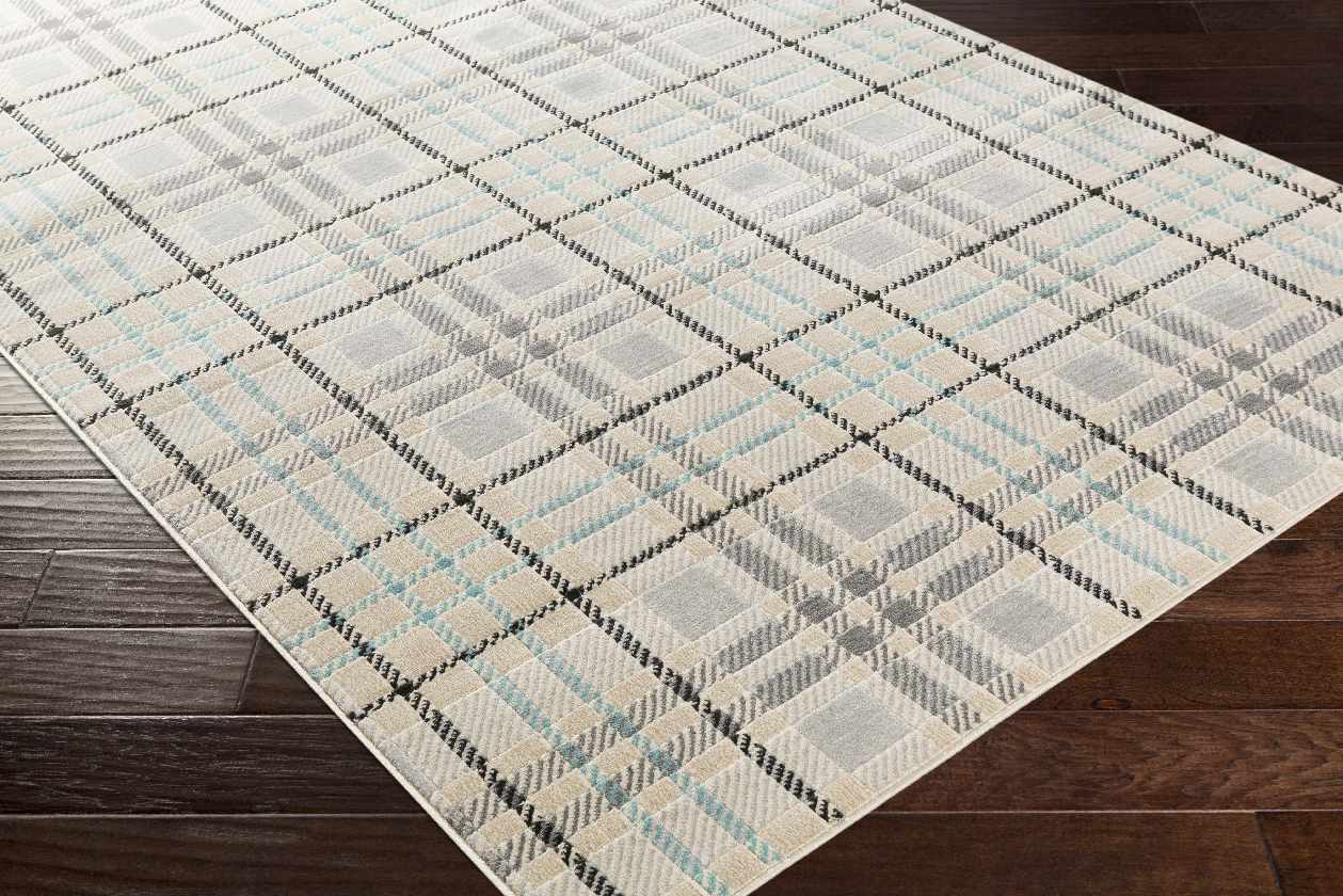 Culhing Transitional Area Rug