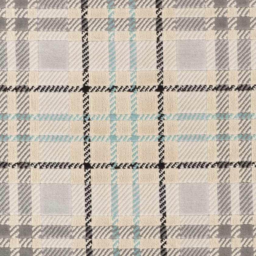 Culhing Transitional Area Rug