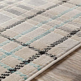 Culhing Transitional Area Rug