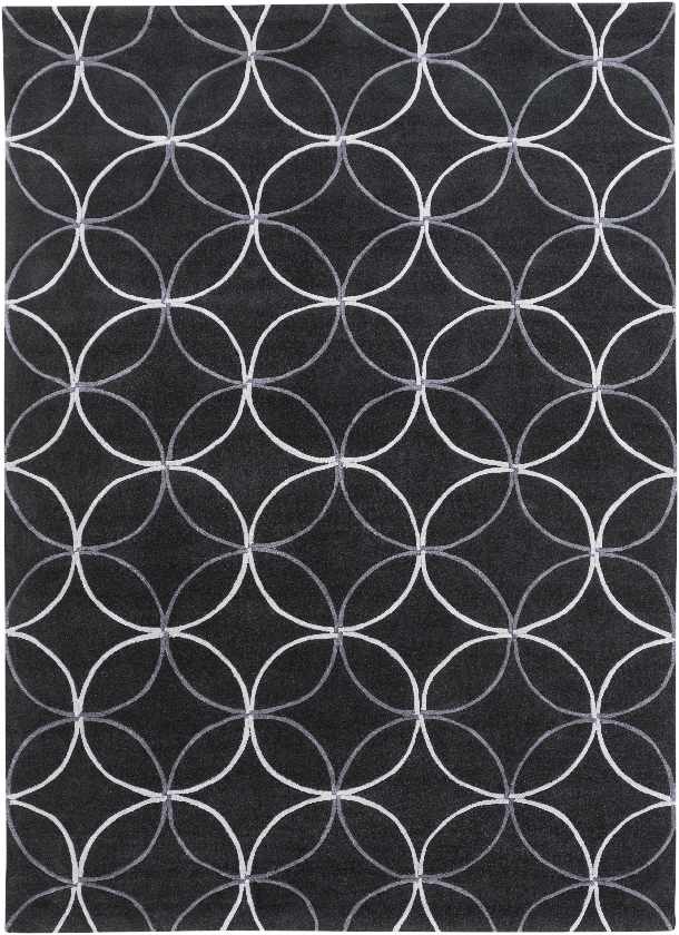 Byled Transitional Area Rug