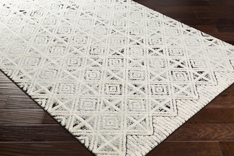 Hargrand Bohemian/Global Area Rug