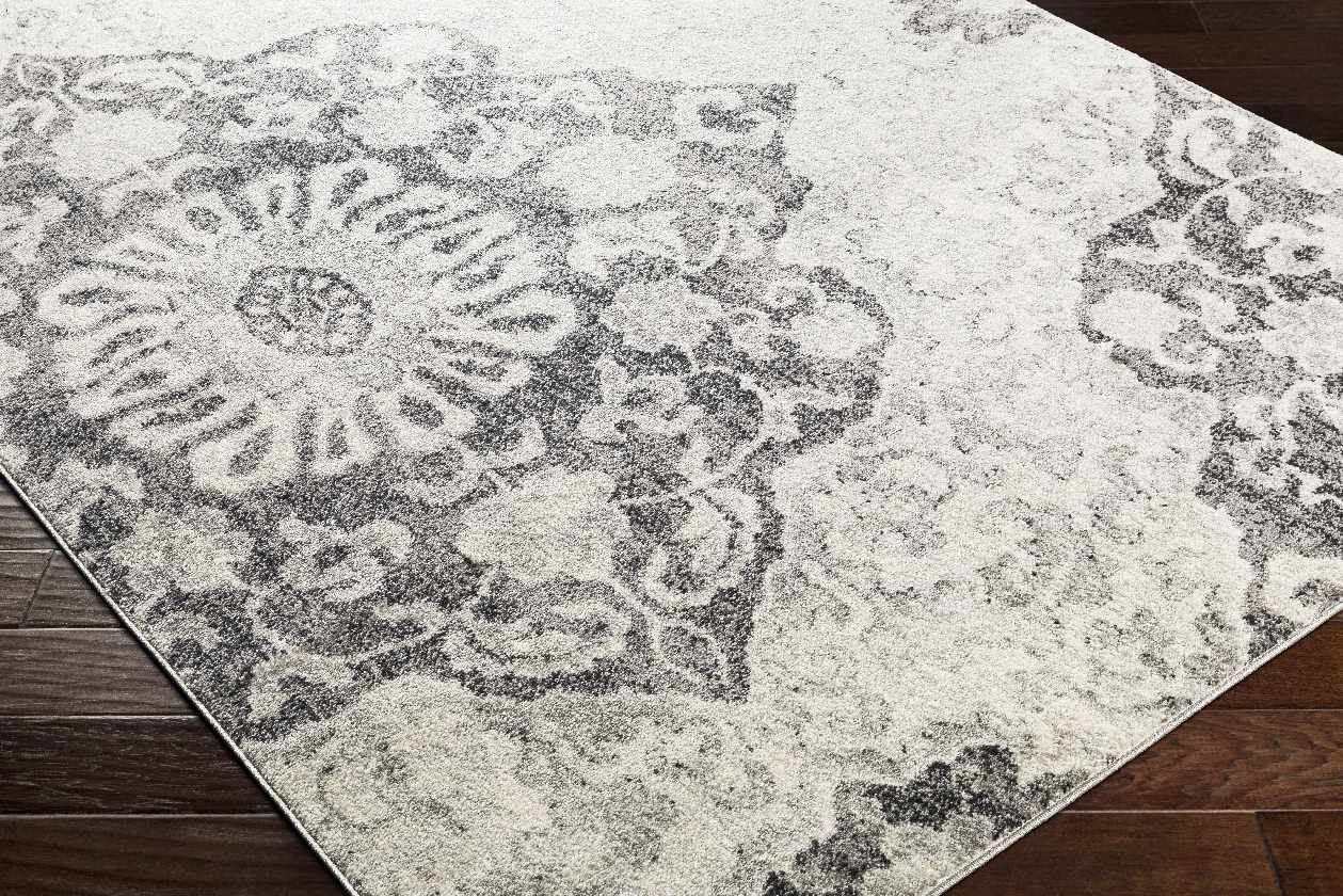 Frithfici Transitional Area Rug
