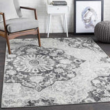 Frithfici Transitional Area Rug