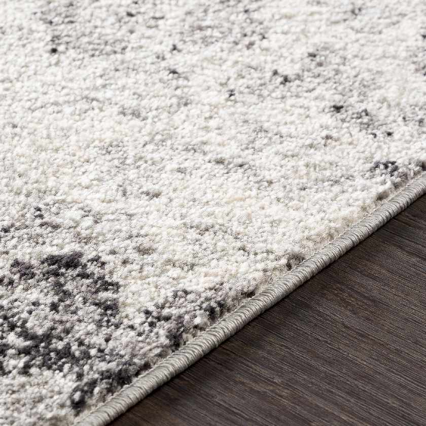 Frithfici Transitional Area Rug