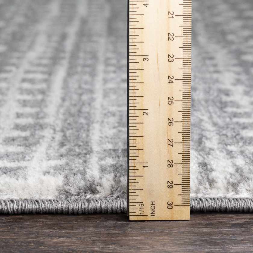 Lflee Transitional Area Rug