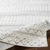 Lflee Transitional Area Rug
