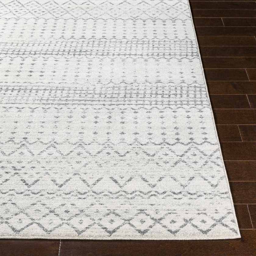 Lflee Transitional Area Rug