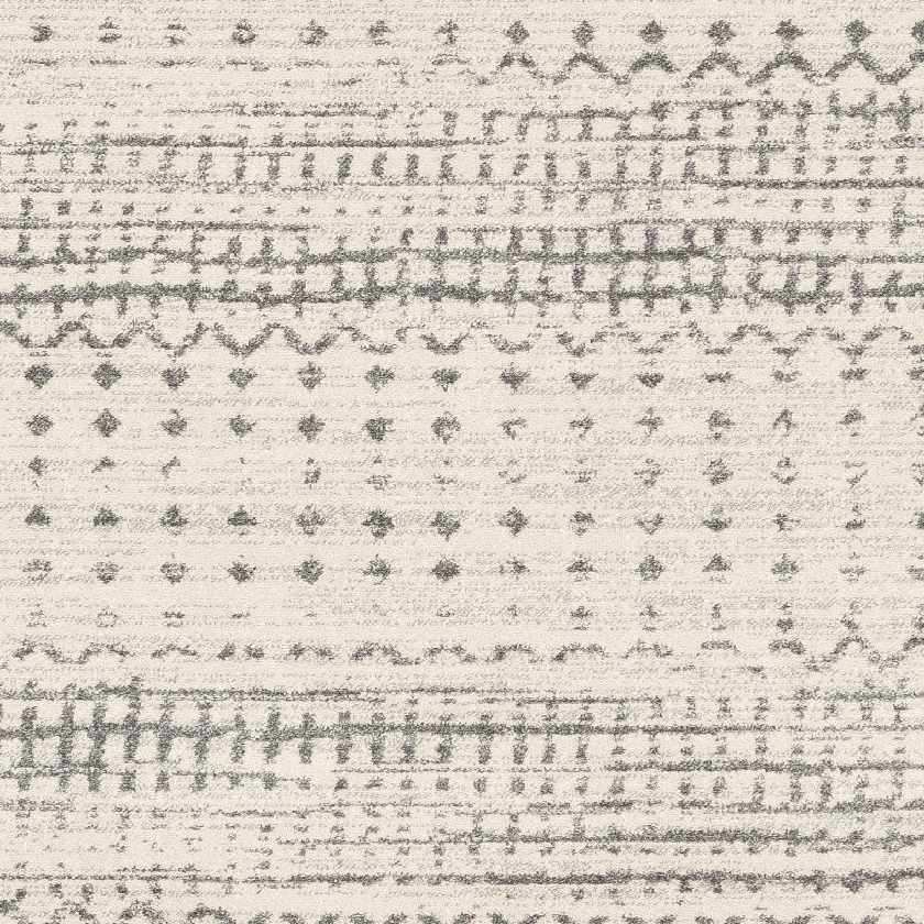 Lflee Transitional Area Rug