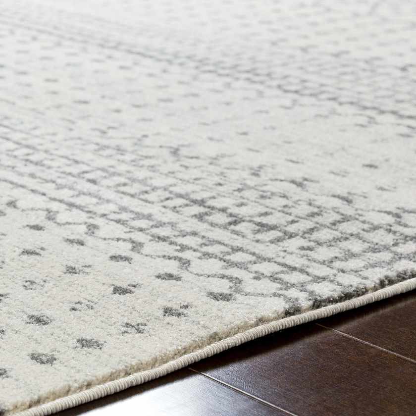 Lflee Transitional Area Rug