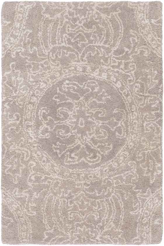 Toches Transitional Beige/Brown Area Rug