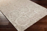 Toches Transitional Beige/Brown Area Rug
