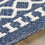 Wardown Bohemian/Global Area Rug