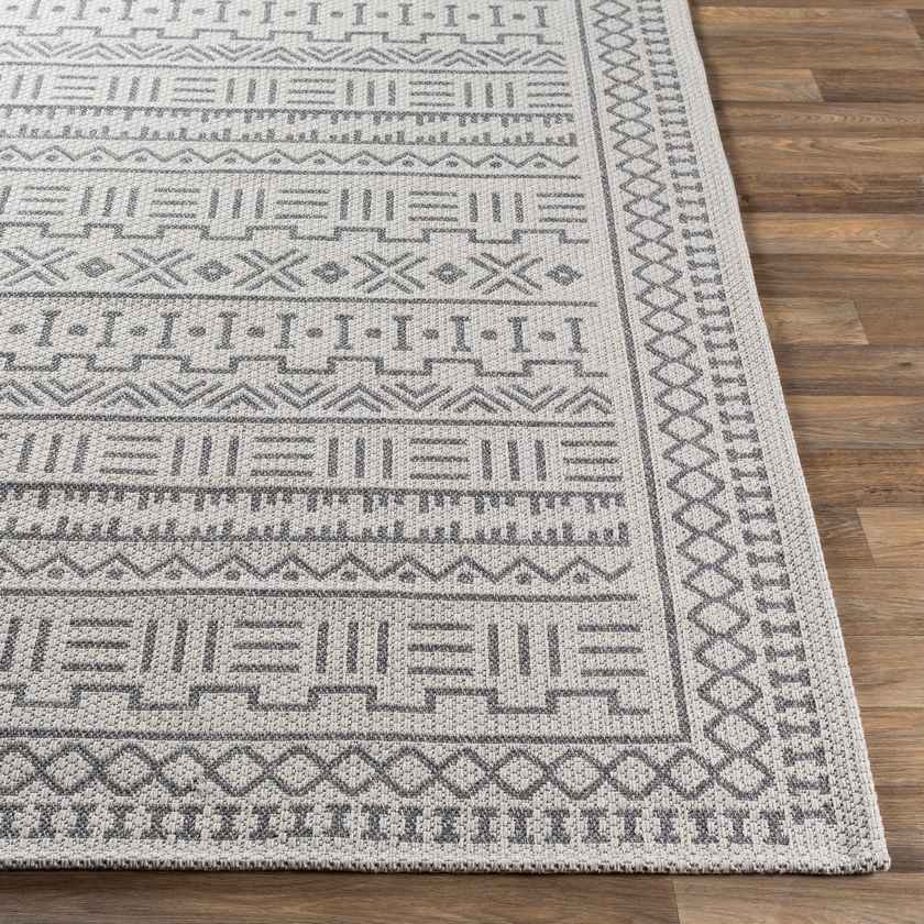 Wardown Bohemian/Global Area Rug