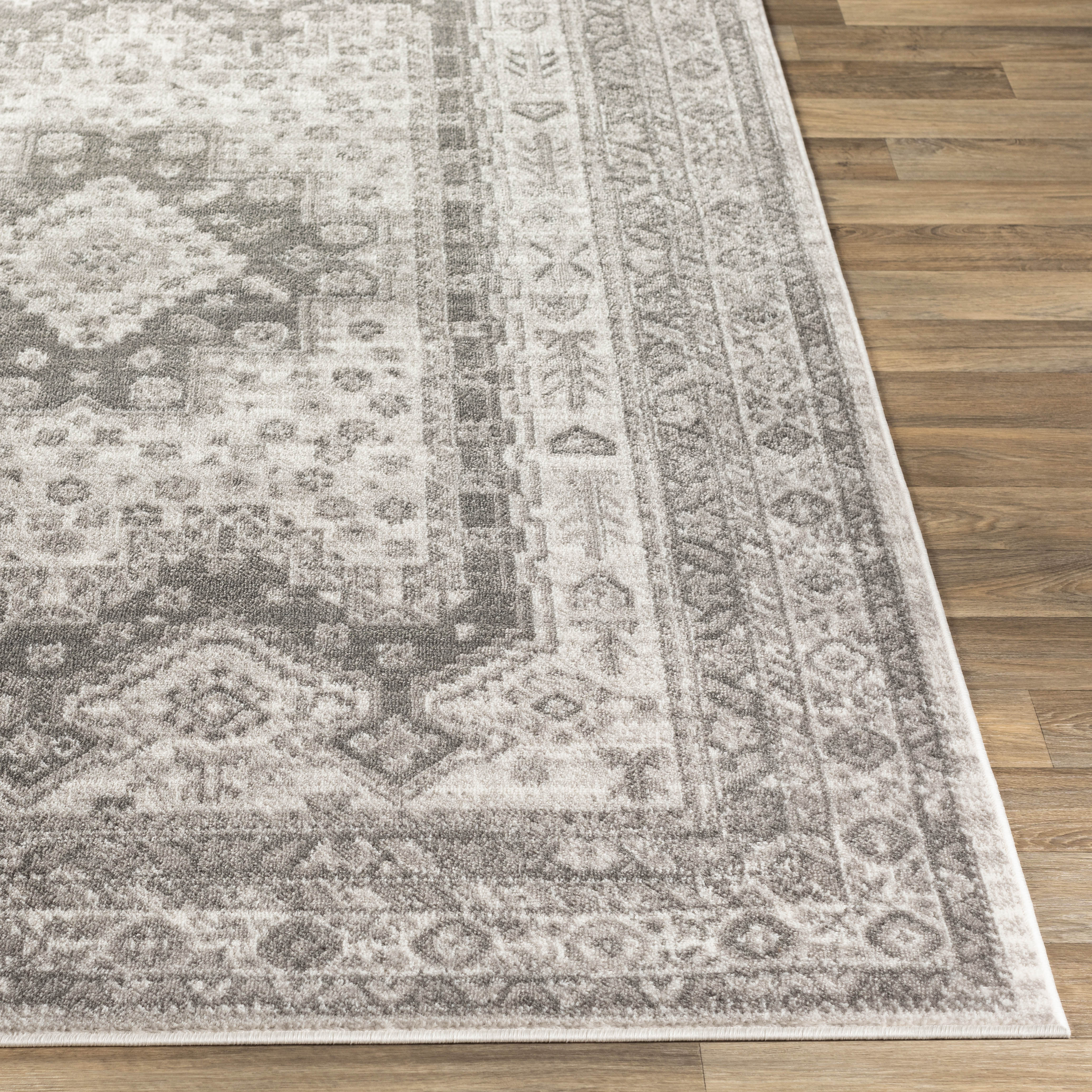 Dgarlac Transitional Area Rug