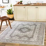 Dgarlac Transitional Area Rug