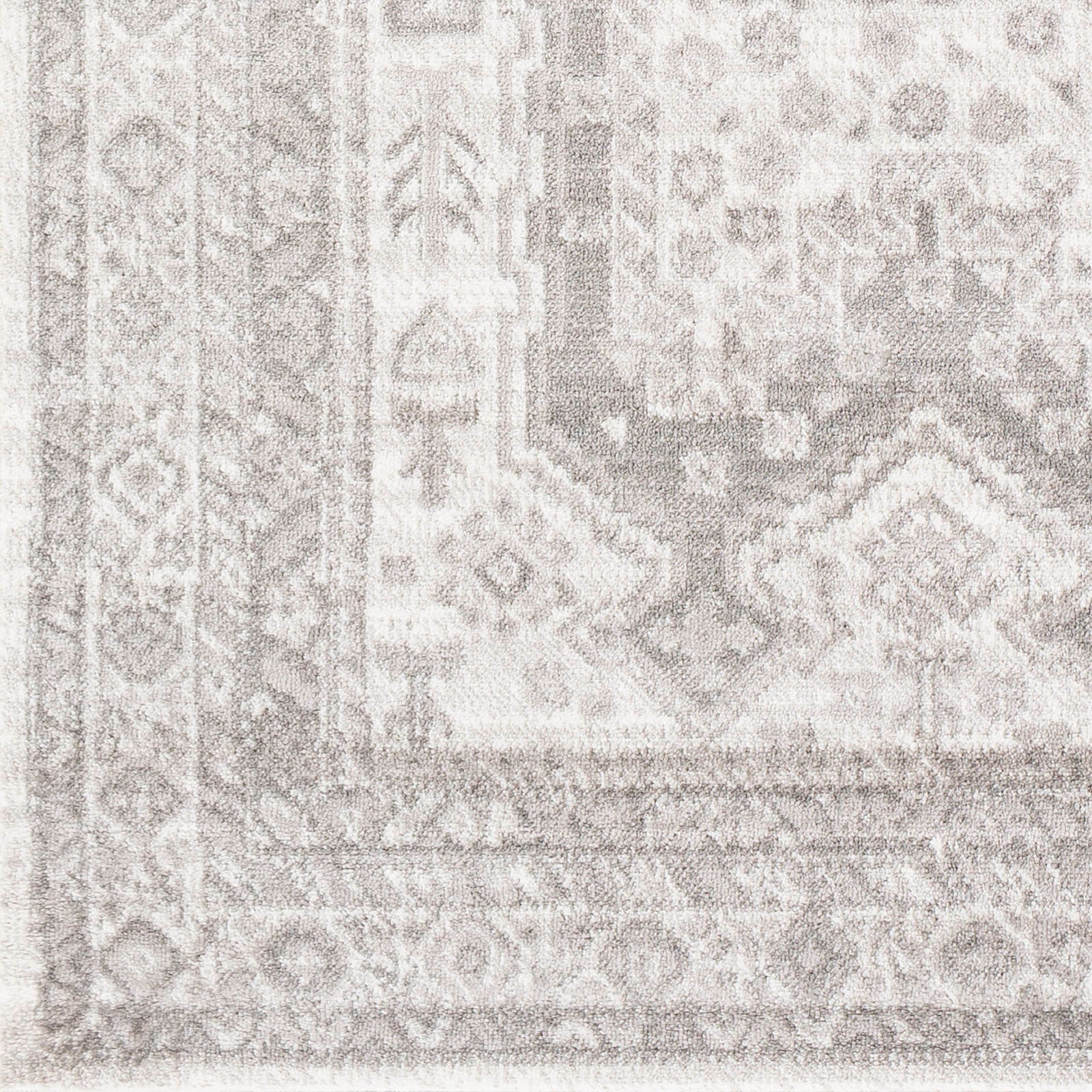 Dgarlac Transitional Area Rug