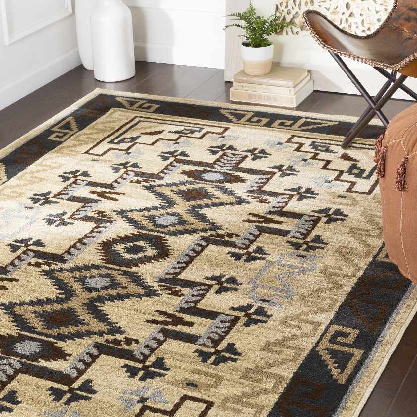 Frafai Bohemian/Global Area Rug