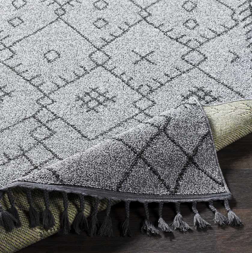 Paulstree Bohemian/Global Area Rug