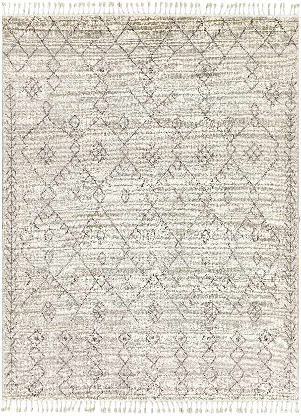 Paulstree Bohemian/Global Area Rug