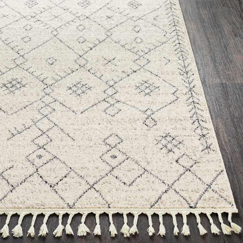 Paulstree Bohemian/Global Area Rug