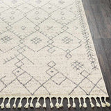 Paulstree Bohemian/Global Area Rug