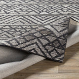 Spawley Transitional Area Rug