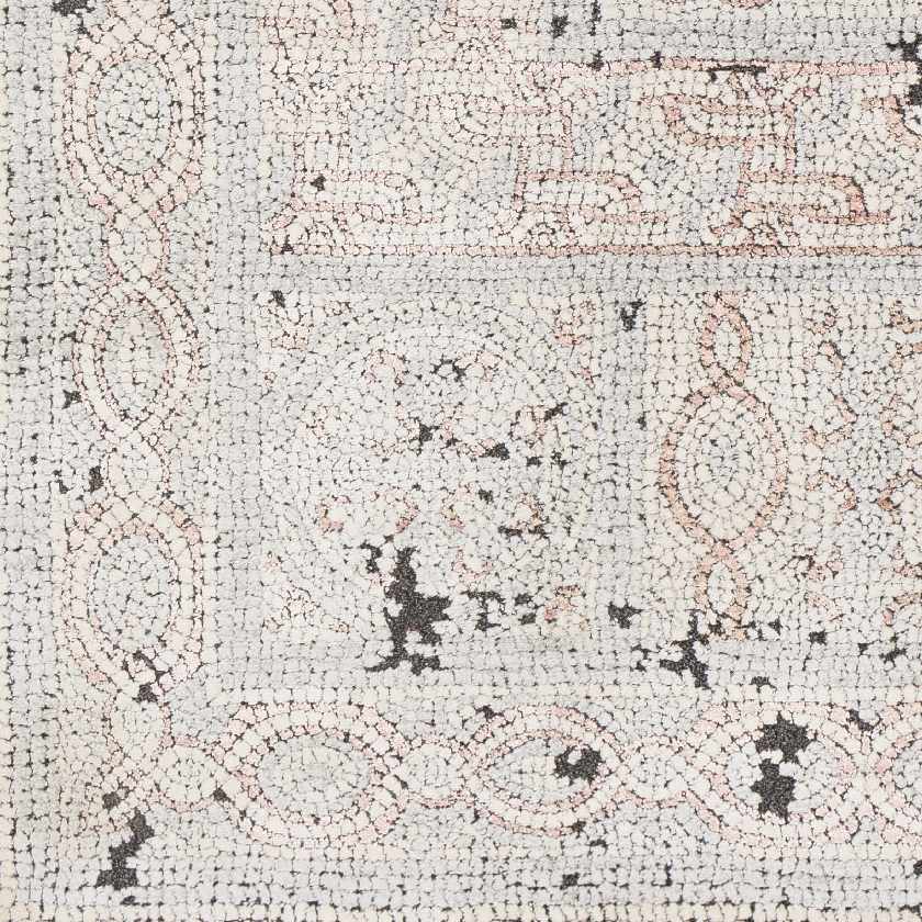 Vahal Updated Traditional Area Rug