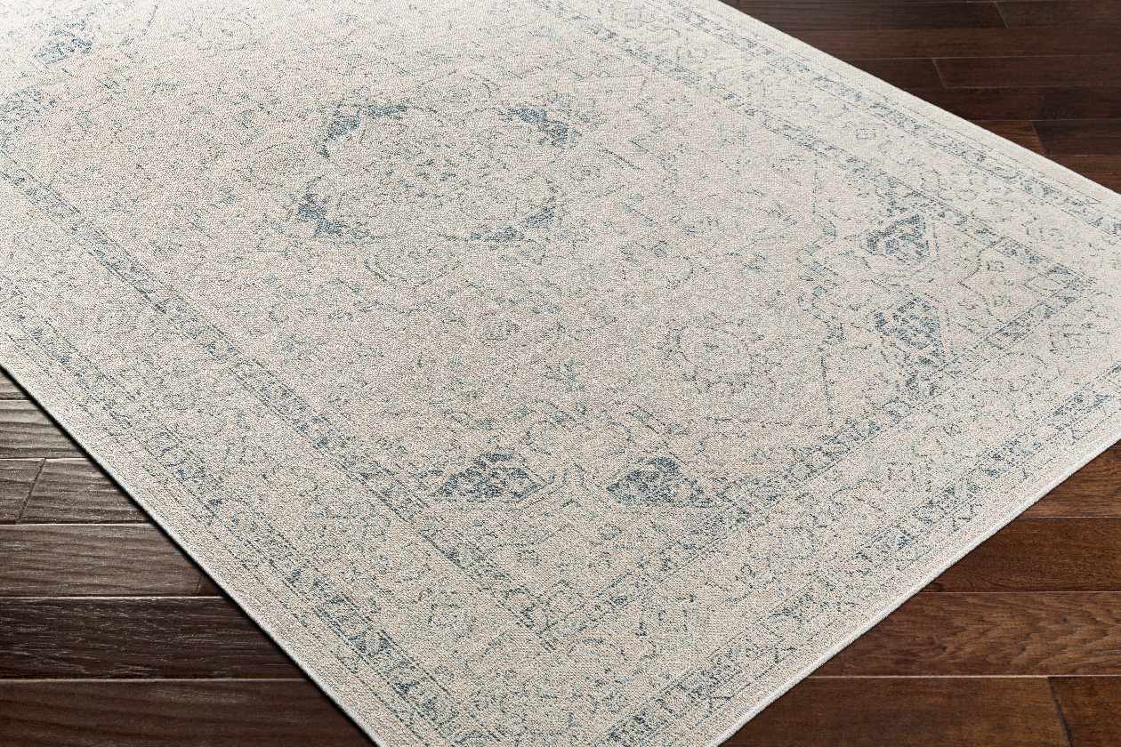 Rdersaint Updated Traditional Area Rug