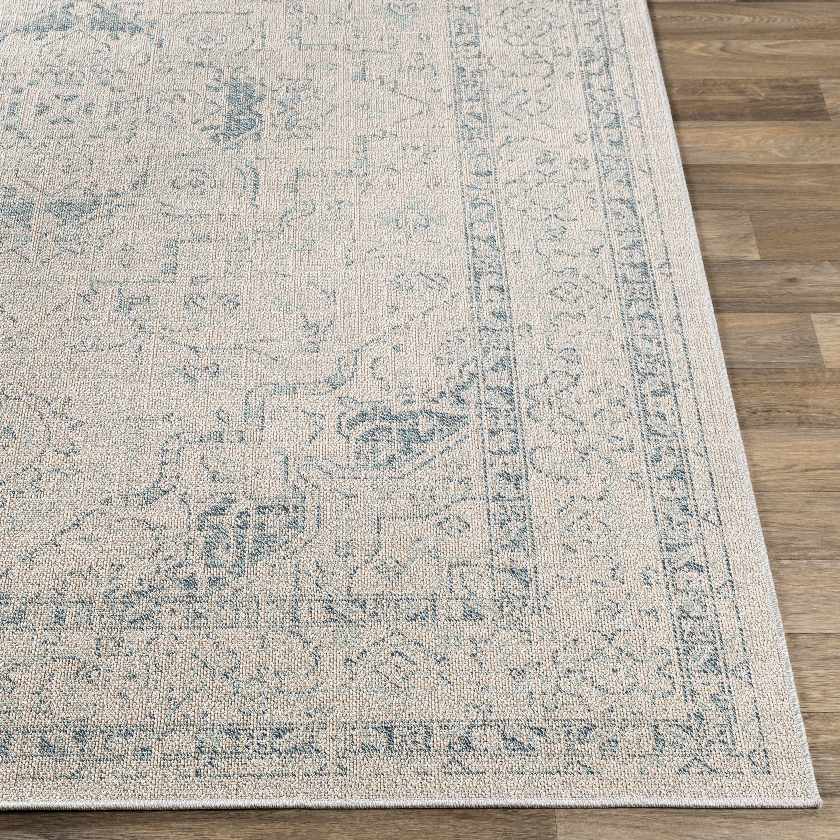 Rdersaint Updated Traditional Area Rug