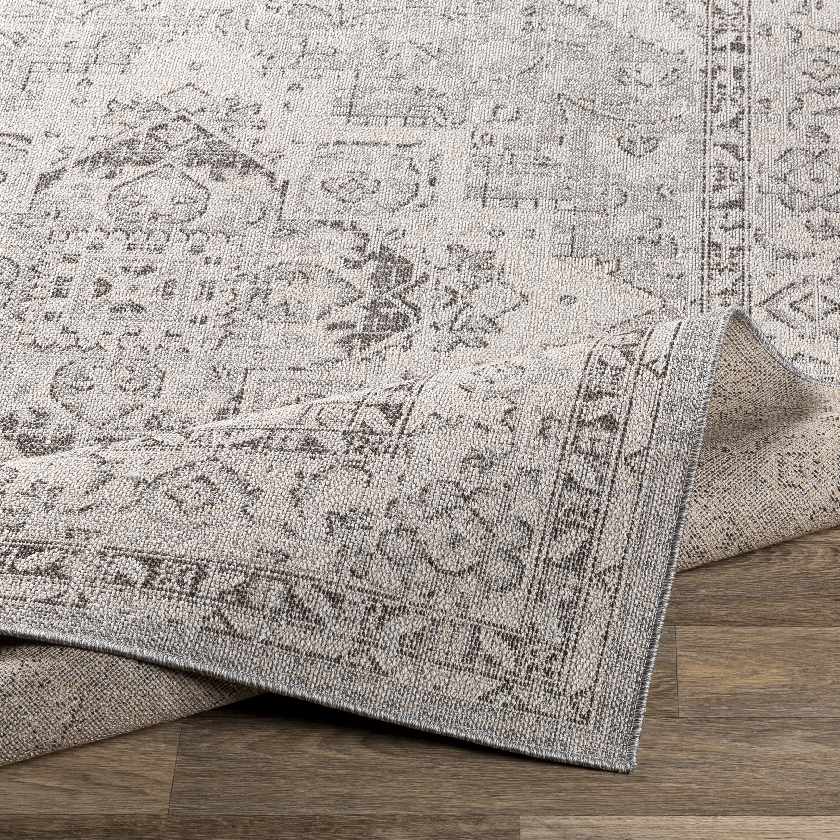 Rdersaint Updated Traditional Area Rug