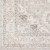 Rdersaint Updated Traditional Area Rug