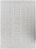 Gisni Bohemian/Global Area Rug