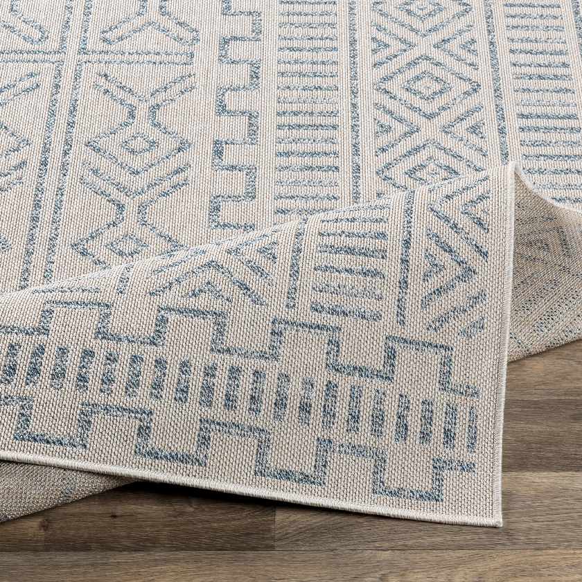 Gisni Bohemian/Global Area Rug