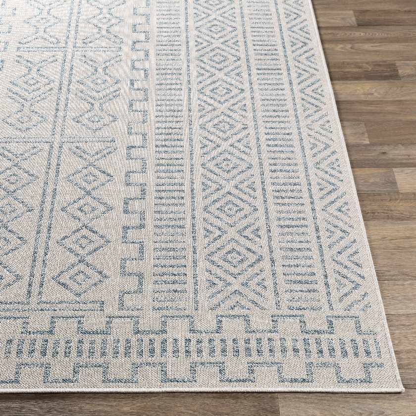 Gisni Bohemian/Global Area Rug