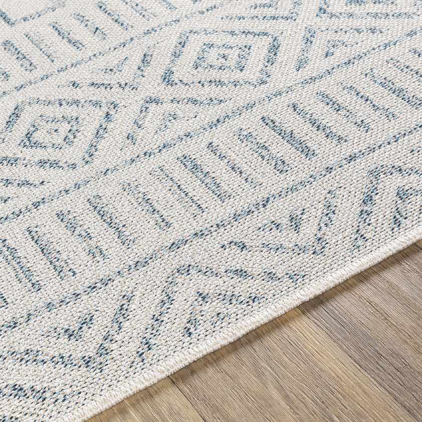 Gisni Bohemian/Global Area Rug