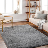 Elkriver Shag Area Rug Carpet for Living Room Bedroom or Kitchen