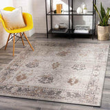 Hatsum Traditional Beige Area Rug Carpet for Living Room Bedroom or Kitchen