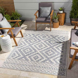 Kirkman Outdoor Area Rug Carpet for Living Room Bedroom or Kitchen