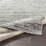 Delisle 3x7 Transitional Gray Area Rug Carpet for Living Room Bedroom or Kitchen (2'7" x 7'3")