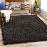 Abraham 2x4 Solid and Border Black Area Rug Carpet for Living Room Bedroom or Kitchen (2'3