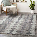 Jesper Bohemian Area Rug Carpet for Living Room Bedroom or Kitchen