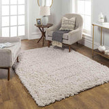 Abraham 2x4 Solid and Border Black Area Rug Carpet for Living Room Bedroom or Kitchen (2'3" x 3'9")