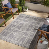 Ireton Outdoor Area Rug Carpet for Living Room Bedroom or Kitchen